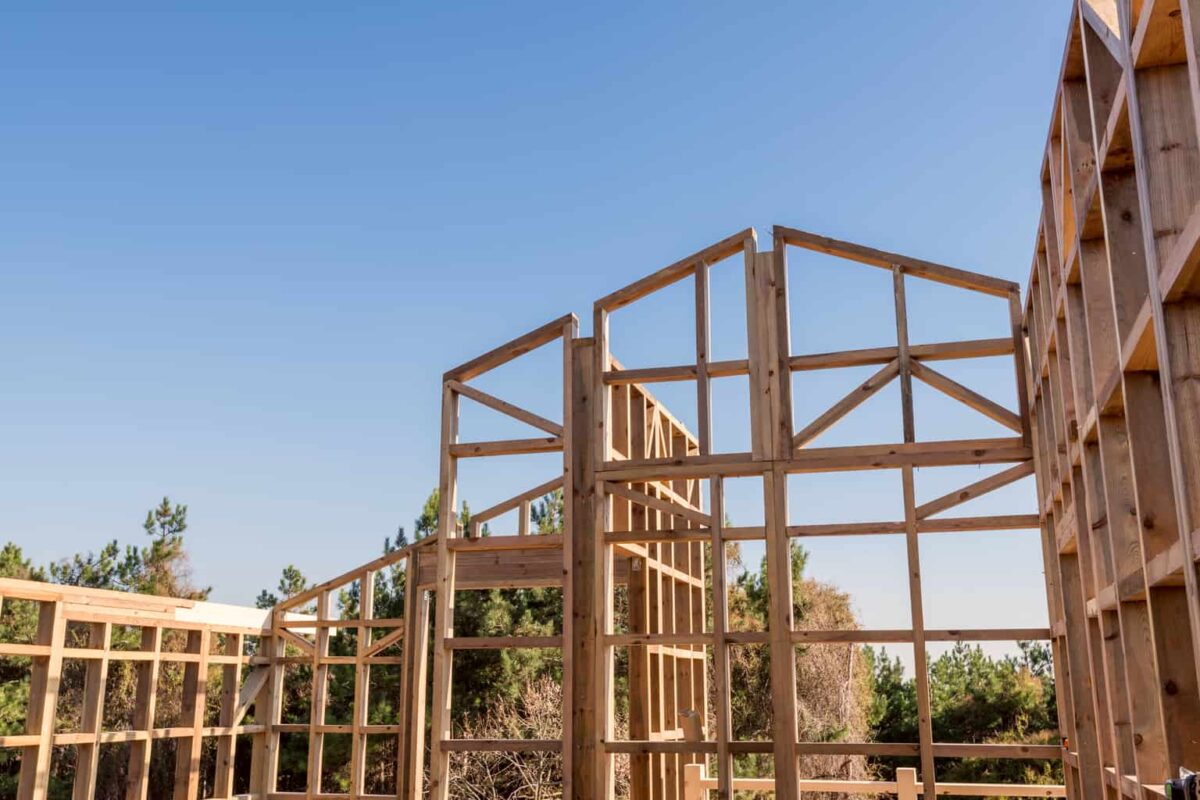 Steel vs. Timber Frame: Which Should You Choose?