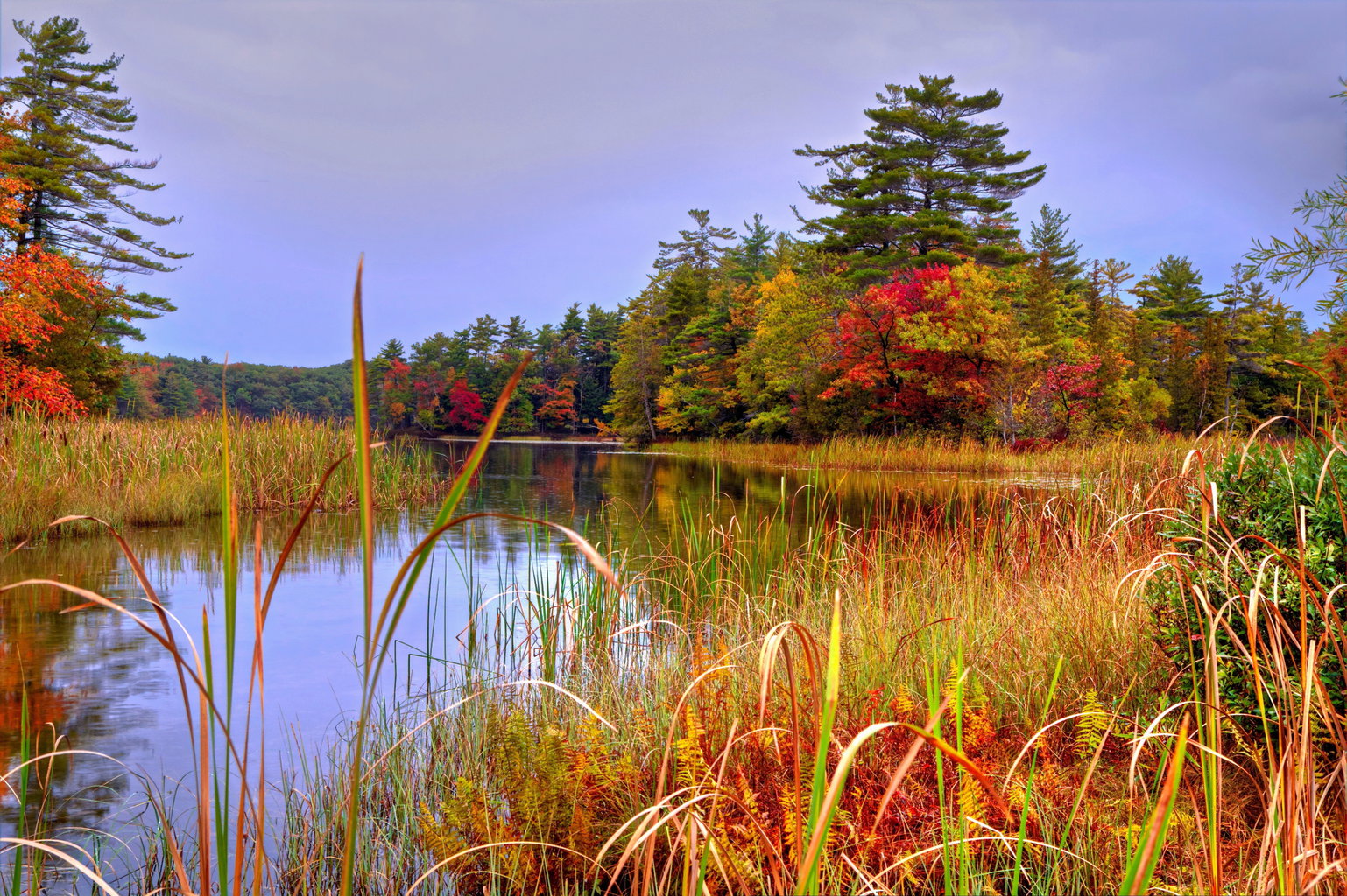 Can You Build a House on Wetlands? 12 Things To Know